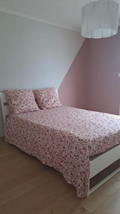 Maison Paisible Et Ensoleillee Avignon Eksteriør billede